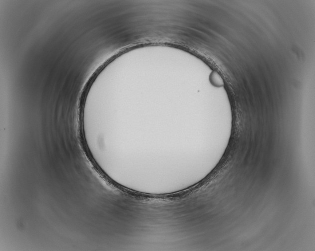 X0000110320894200906181821