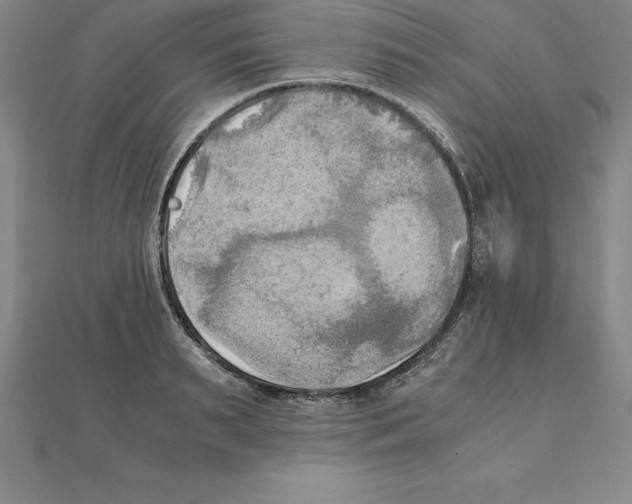 X0000110320895200906181821