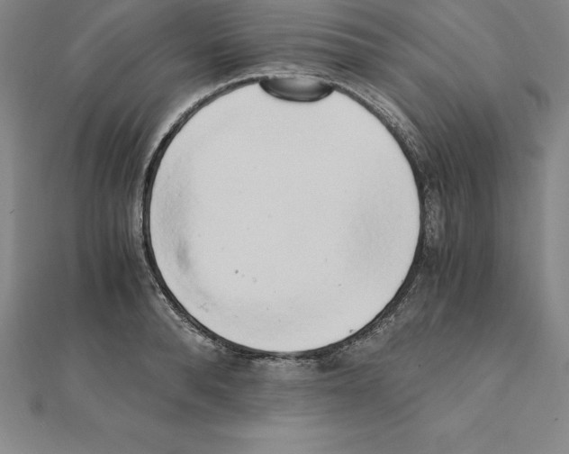 X0000110320896200906181821