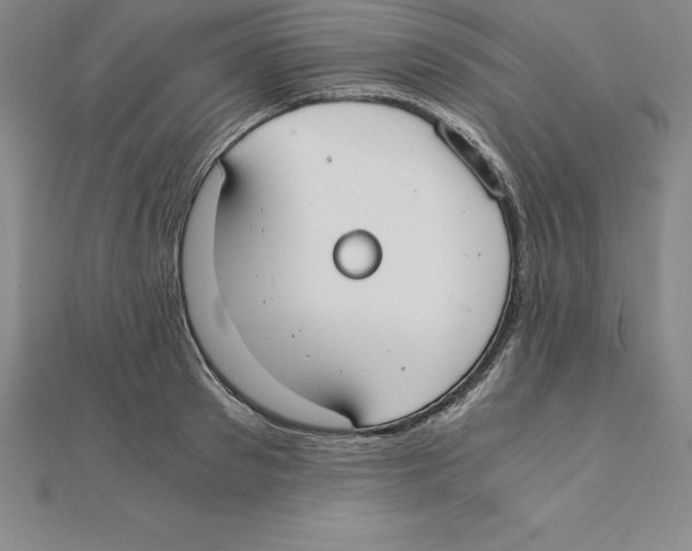 X0000110320897200906181821