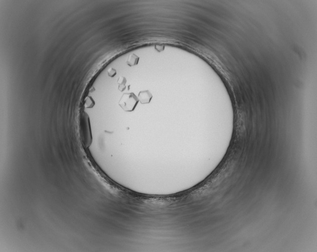 X0000110320898200906181821