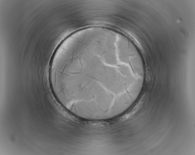 X0000110320899200906181821