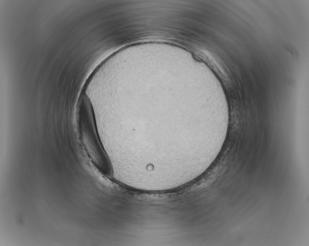 X0000110320900200906181821