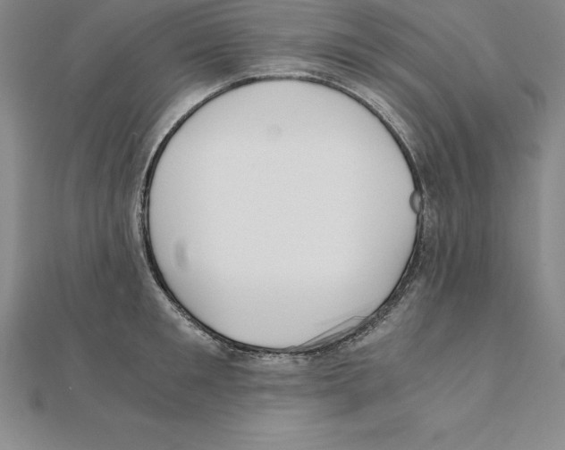 X0000110320901200906181821