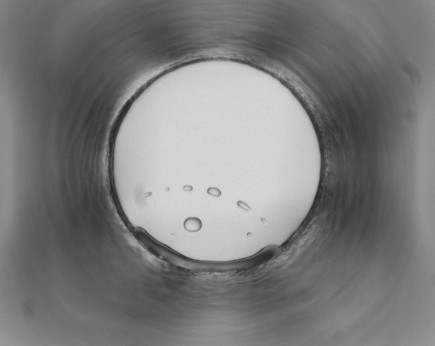 X0000110320902200906181821