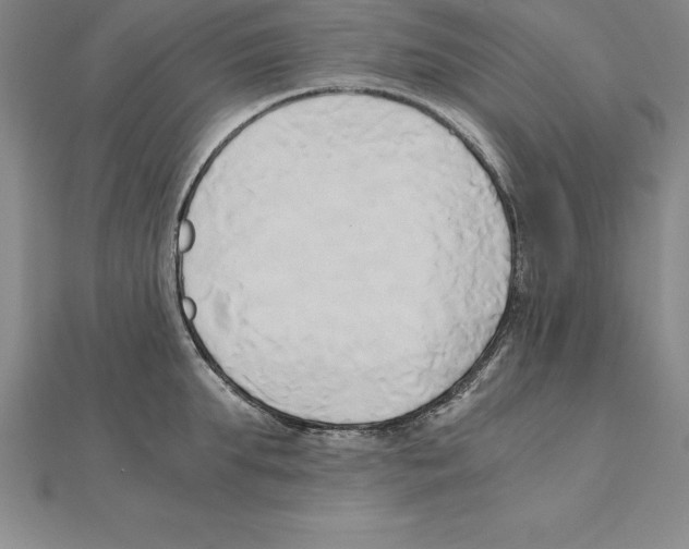 X0000110320903200906181821