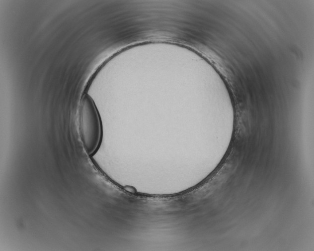 X0000110320904200906181821