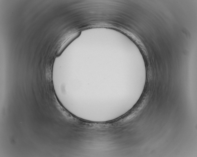 X0000110320905200906181821