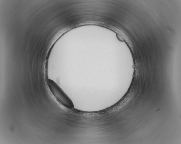 X0000110320906200906181821