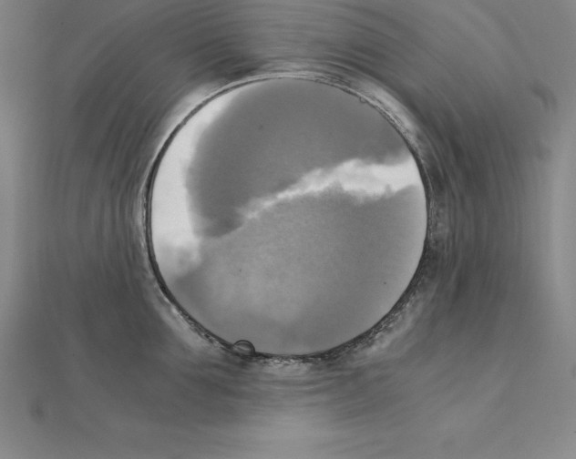 X0000110320907200906181821