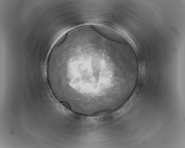 X0000110320908200906181821