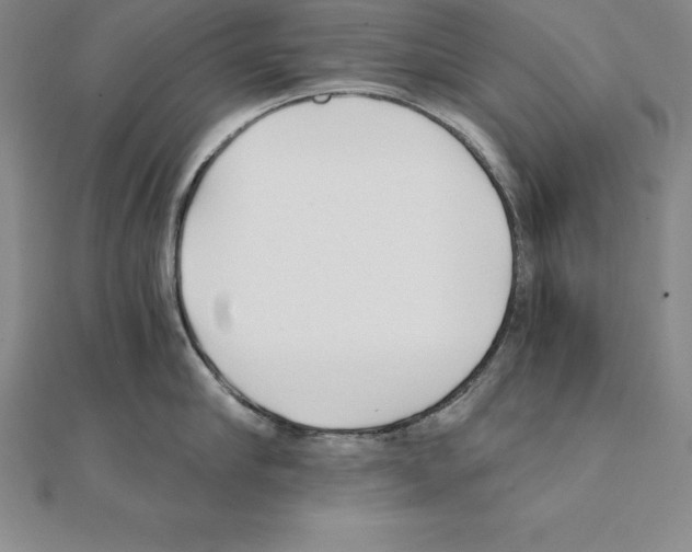 X0000110320910200906181821