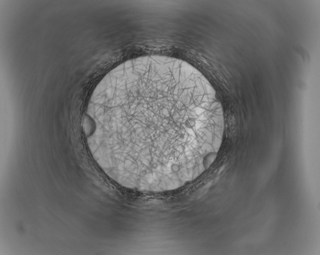 X0000110320913200906181820