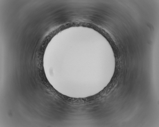 X0000110320919200906181820