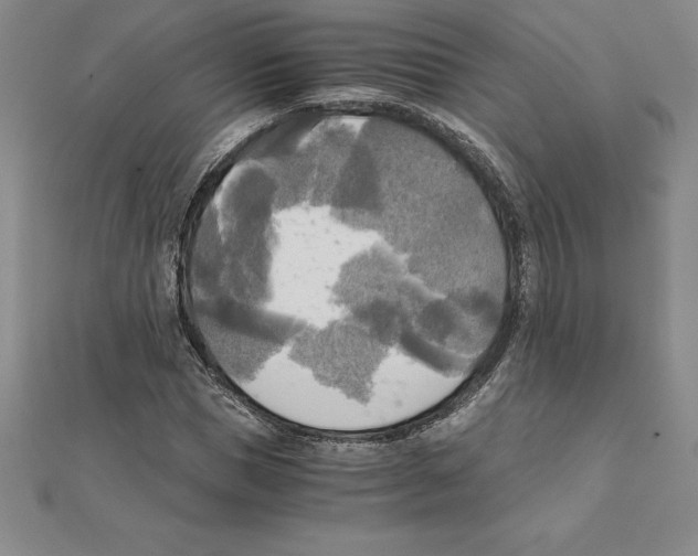 X0000110320921200906181820