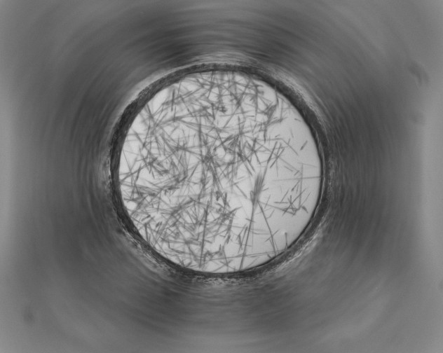 X0000110320923200906181820