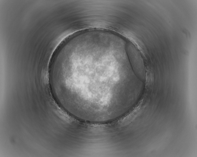 X0000110320924200906181820