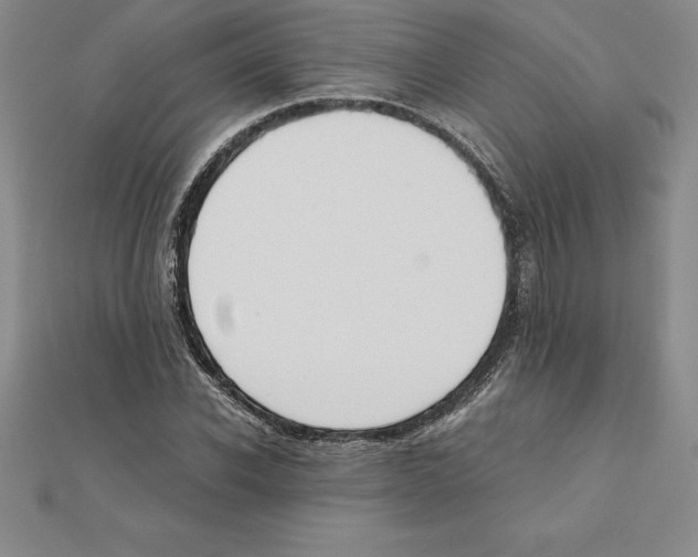 X0000110320926200906181820