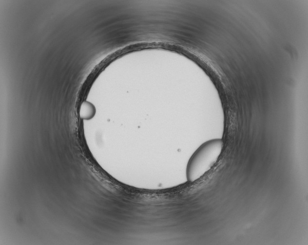 X0000110320927200906181820