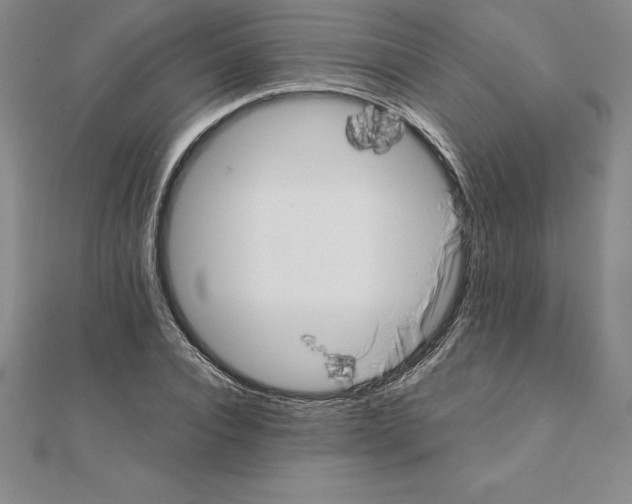 X0000110320928200906181820