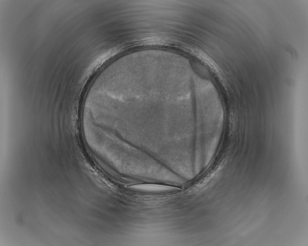 X0000110320930200906181820