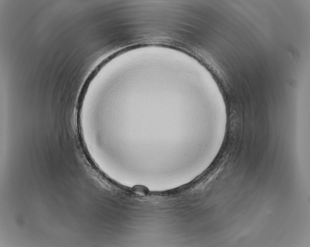 X0000110320932200906181820