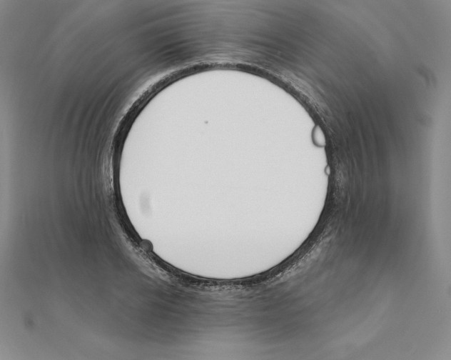 X0000110320934200906181820