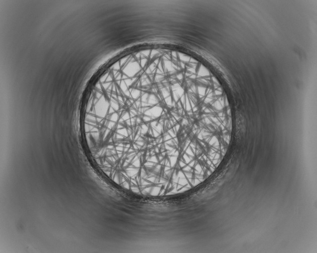 X0000110320935200906181820