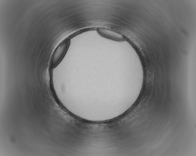 X0000110320936200906181820