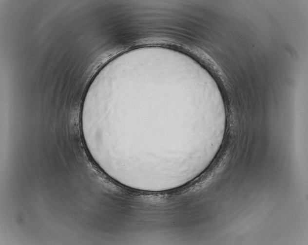 X0000110320937200906181820