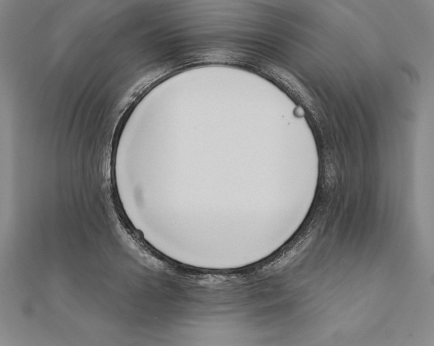 X0000110320938200906181820