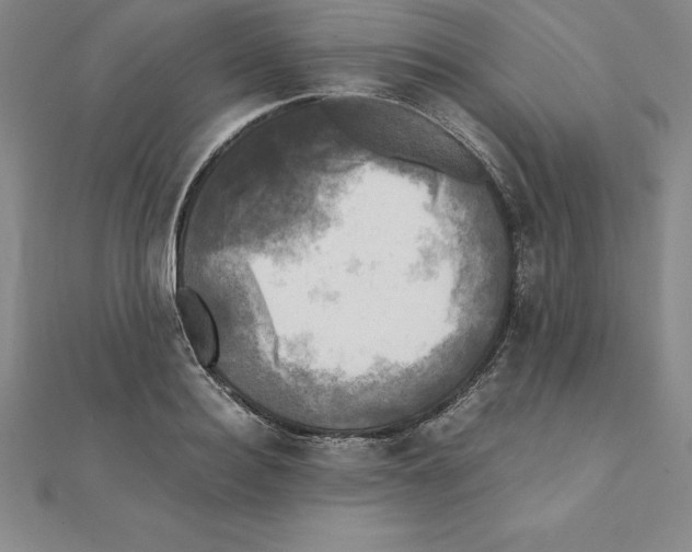 X0000110320940200906181821