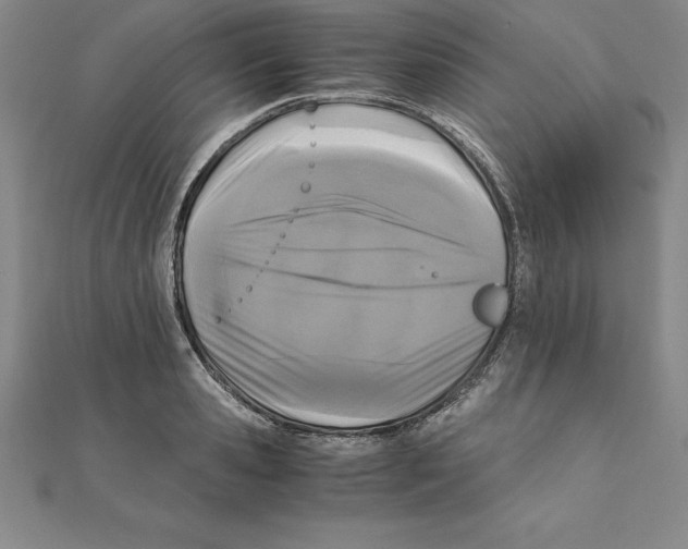 X0000110320941200906181821