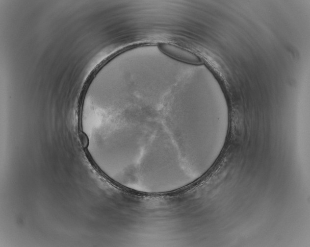 X0000110320944200906181821