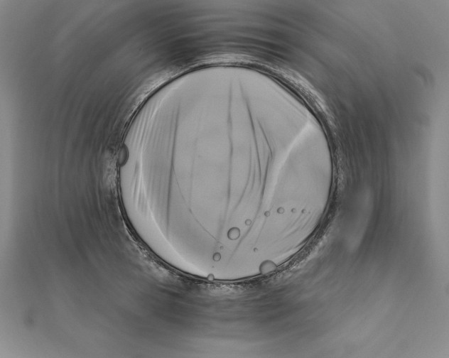 X0000110320945200906181821