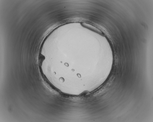 X0000110320946200906181821