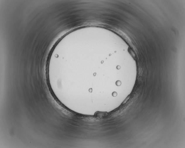 X0000110320947200906181821