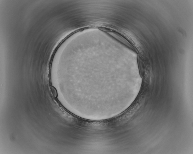 X0000110320948200906181821