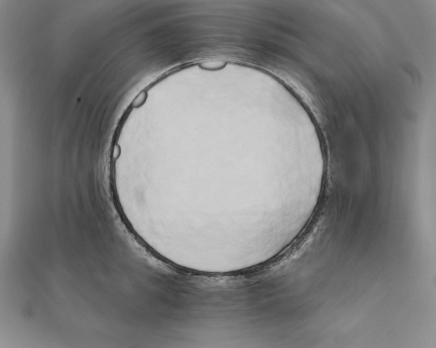 X0000110320949200906181821