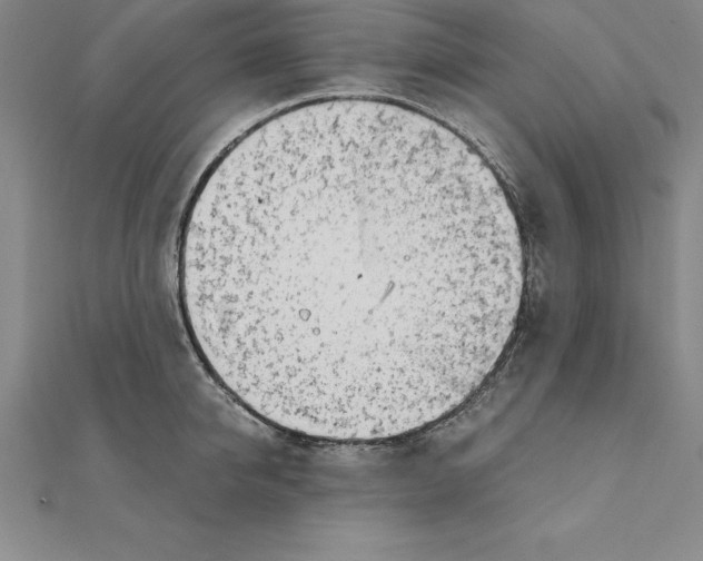 X0000110320950200906181821