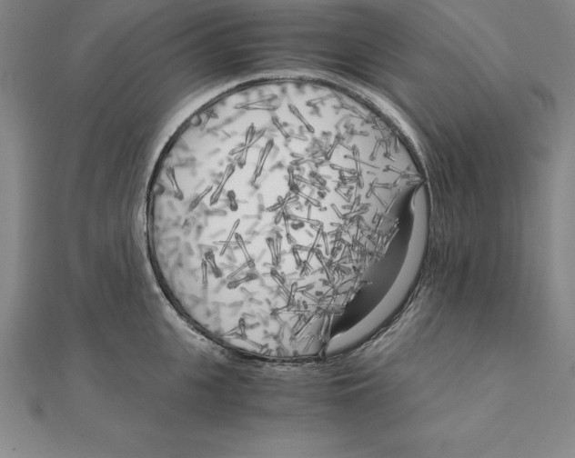 X0000110320951200906181821