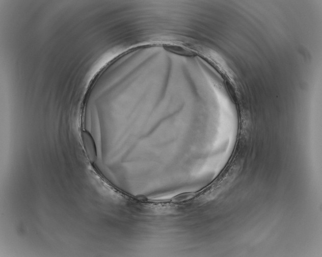 X0000110320952200906181821