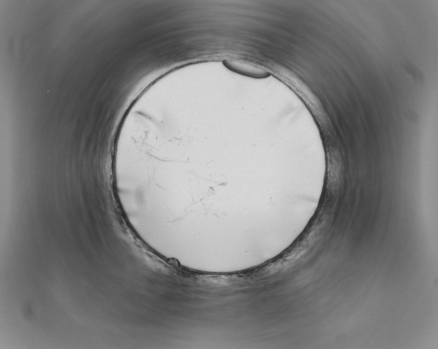 X0000110320956200906181821