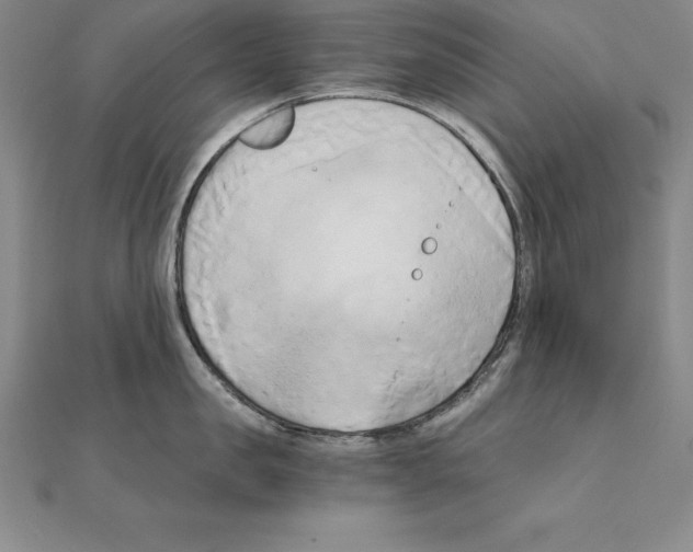 X0000110320957200906181821