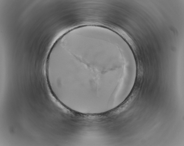 X0000110320958200906181821