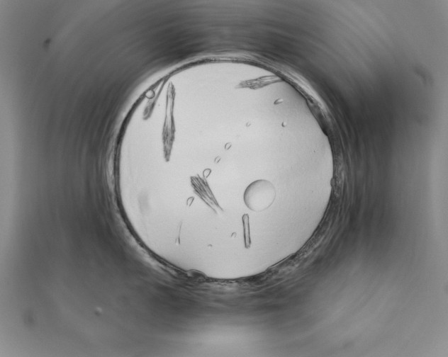 X0000110320959200906181821