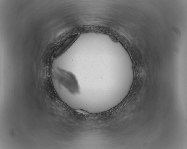 X0000110320965200906181820