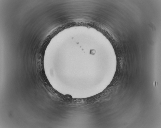 X0000110320968200906181820