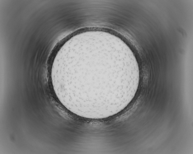 X0000110320974200906181820