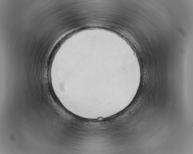 X0000110320976200906181820